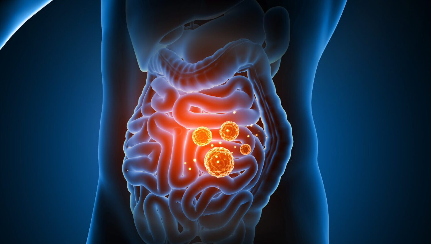 Gut Health - How to fix digestion and constipation - 50 and seniors
